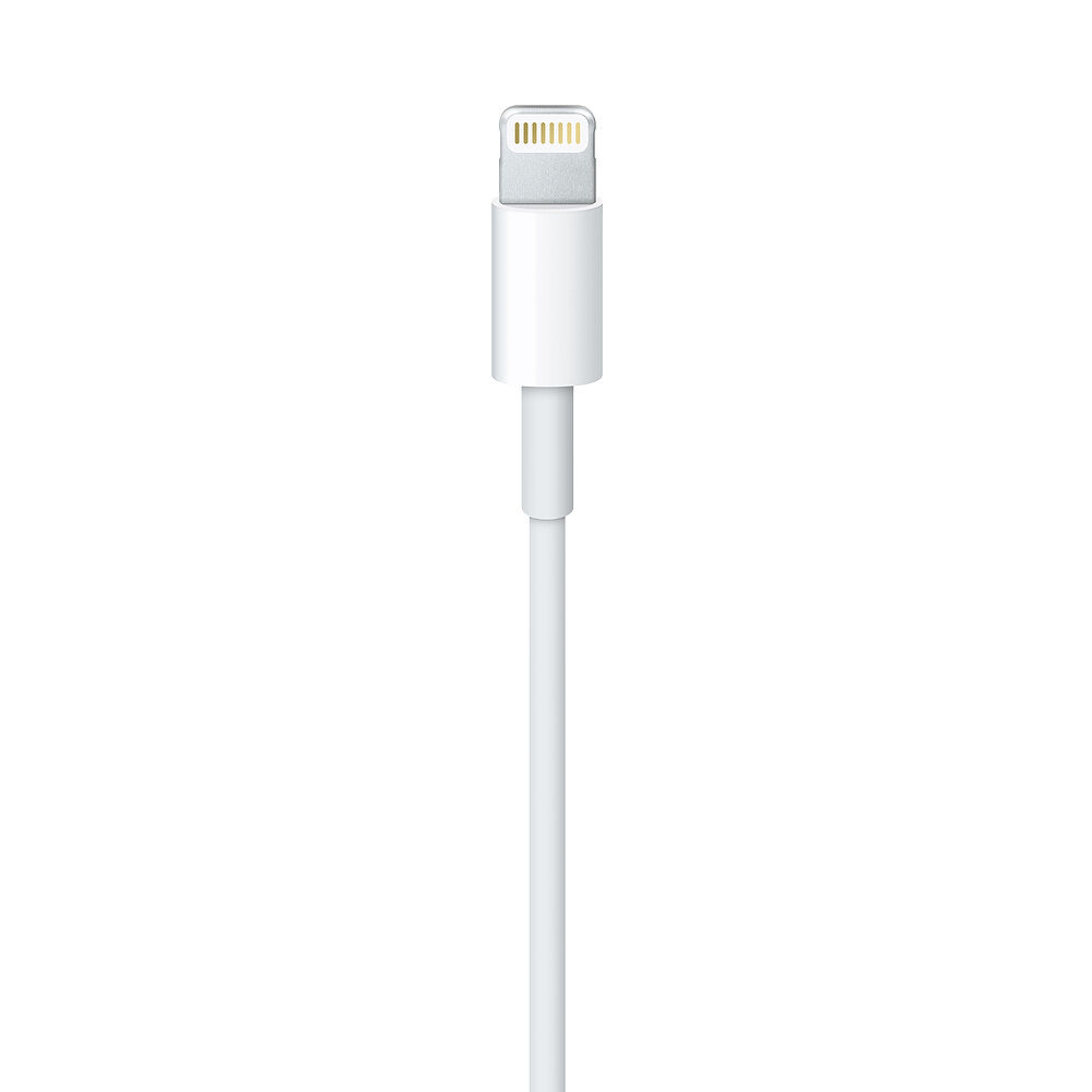 Lightning to USB Cable, White (0.5 m) (Retail packaging)