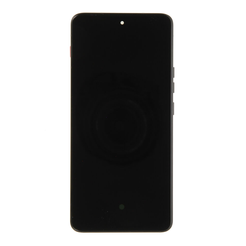 Display (Original), Motorola ThinkPhone