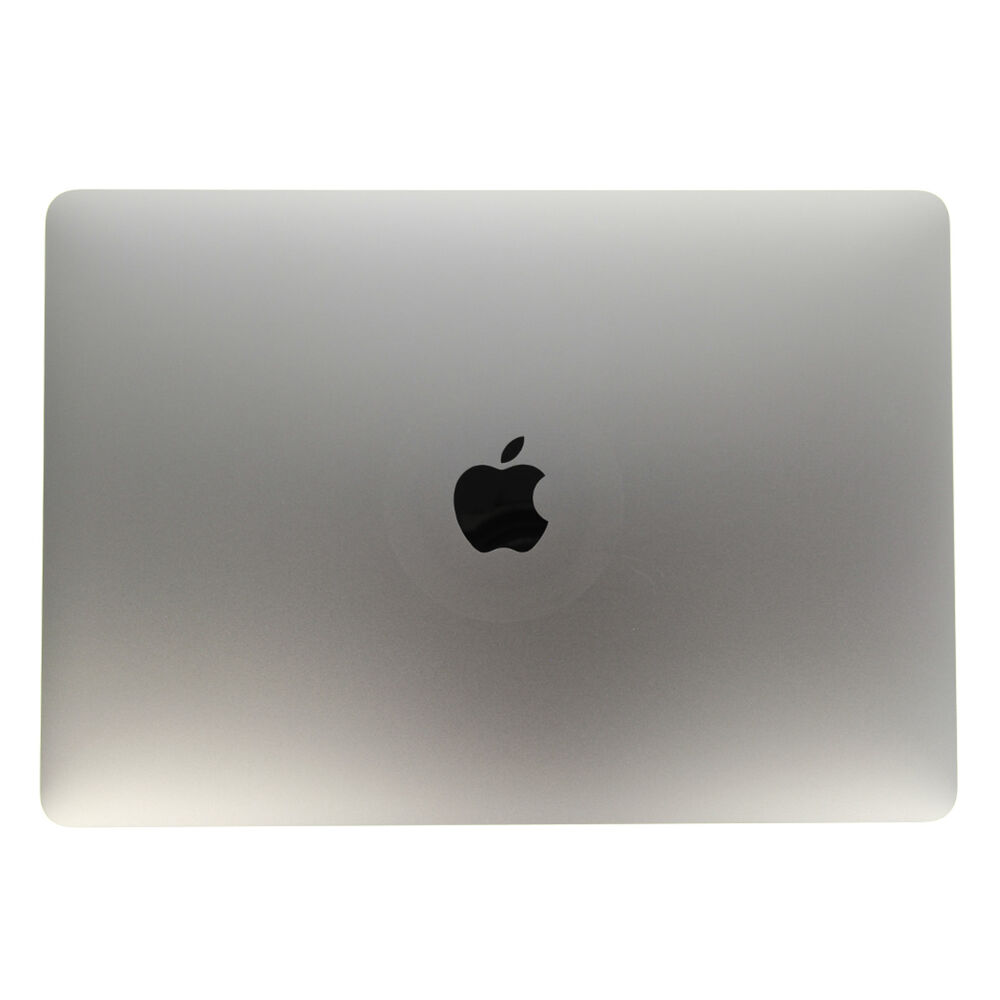 Display with Rear Cover (Pulled) - Space Gray, For MacBook Pro 13 (2019); A2159