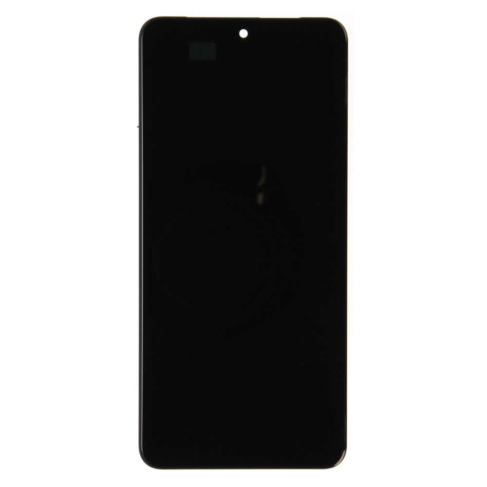 Display excl. frame (Pulled A++) - For Google Pixel 8 Pro