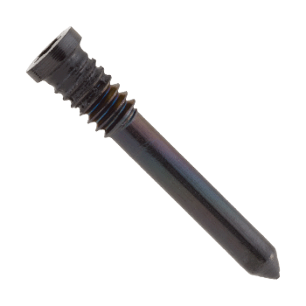 Screw DOCK 100 pcs (Original) - Black, Apple iPhone 17