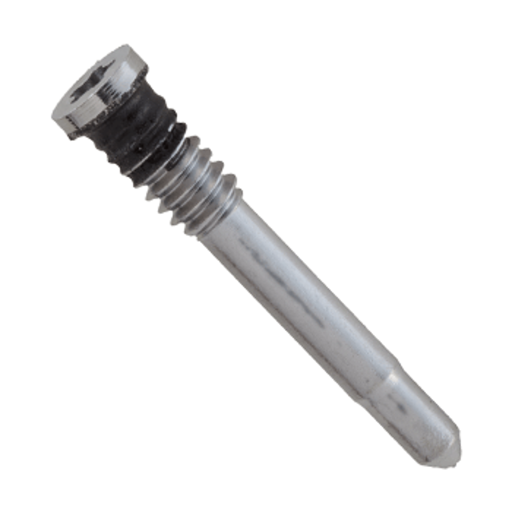Screw Pentalobe PL1.1 100 pcs (Original) - Silver, Apple iPhone 17 Pro