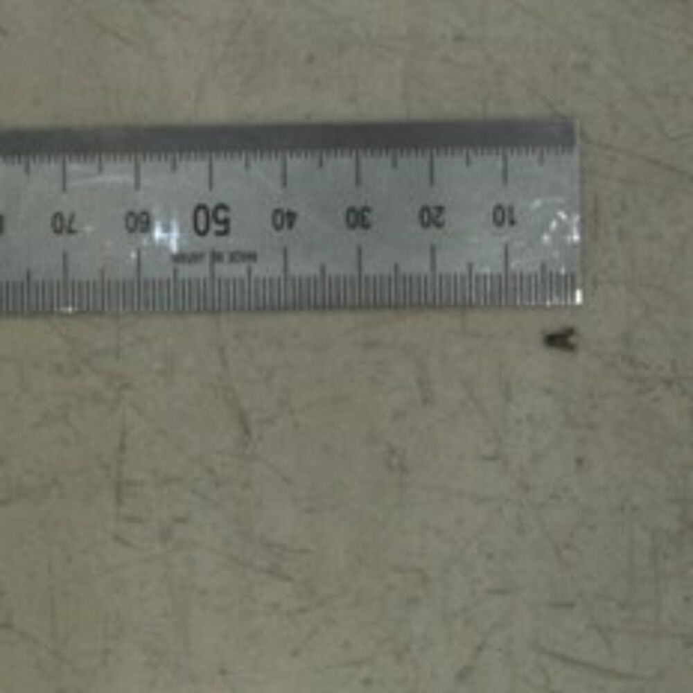 SCREW-MACHINE