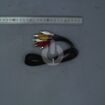 Samsung  Kabel AC97-01746A